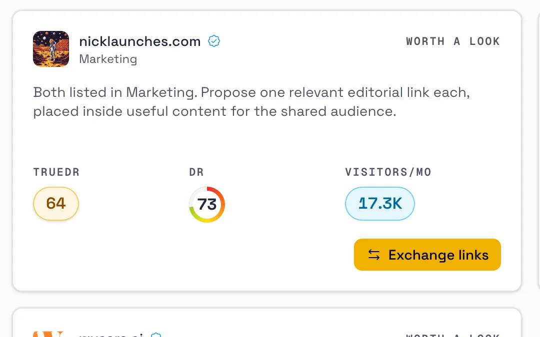 One recommended partner: nicklaunches.com with TrueDR 64, DR 73, 17.3K visitors a month and the reason the two websites fit